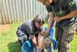Two white women with a small white dog in a bucket