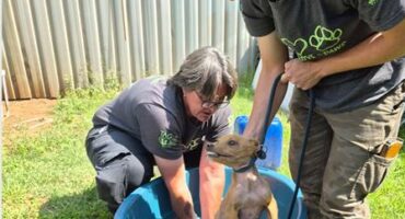 Two white women with a small white dog in a bucket