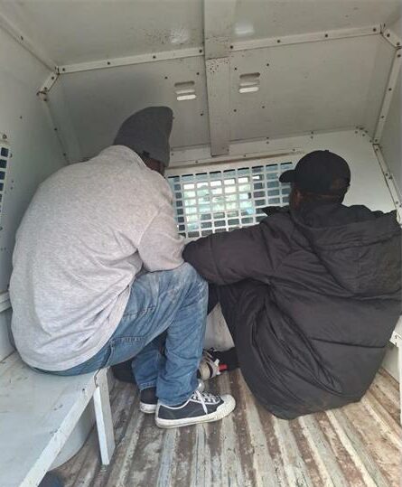 Tow men have their backs to the camera as they sit in a police van