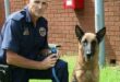 Man in a police uniform kneeling next to a dog