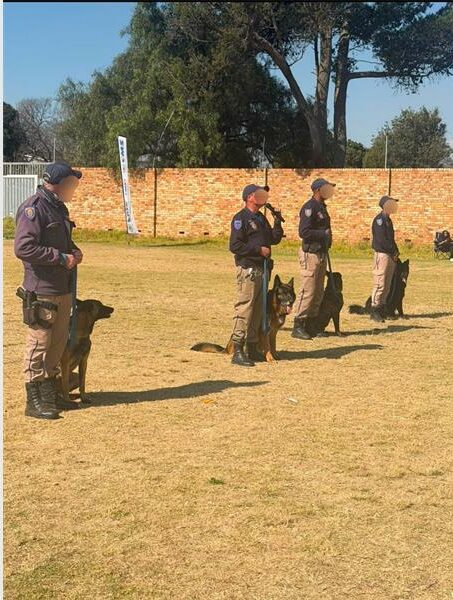 Police officers with their dogs sitting at their feet