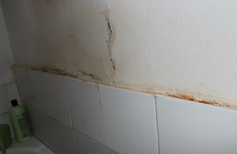 Blistered paint from a water leak
