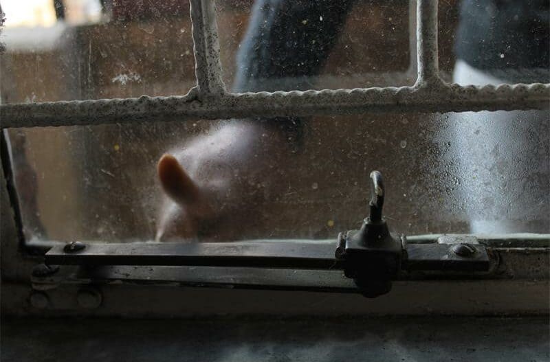 A finger pointing to condensation against a window