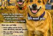 Poster featuring two AI generated dogs in the foreground