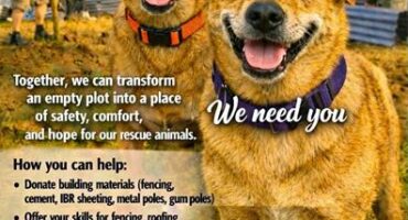 Poster featuring two AI generated dogs in the foreground