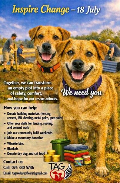 Poster featuring two AI generated dogs in the foreground