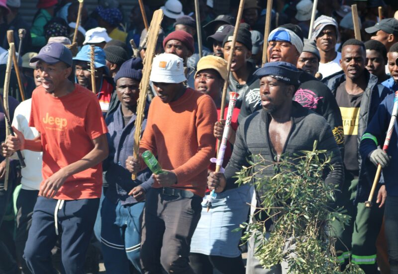 a crowd of protesters