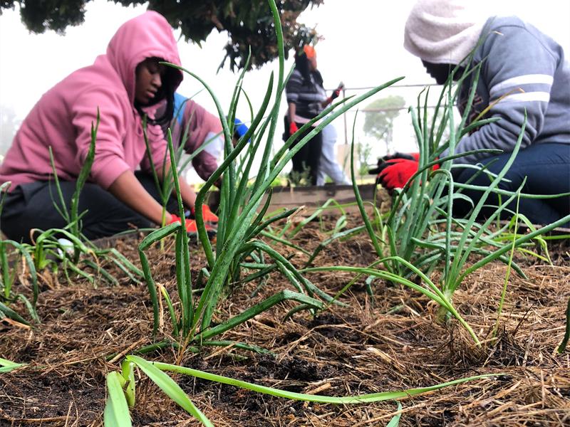 Individuals interested in learning more about the organisation's initiatives can visit www.khulisani.org.za for more information and application opportunities.