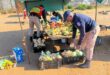Uniformed officers at a fruit and vegetable stand