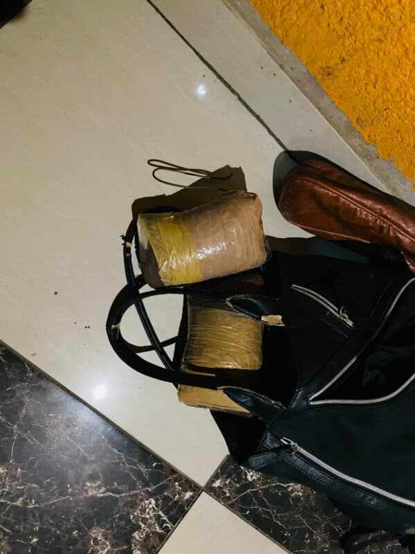 A bag containing detonation devices.