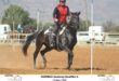 A rider dressed in black and red on a black horse on a dust paddock taking part in a competition.