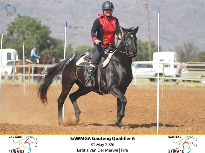 A rider dressed in black and red on a black horse on a dust paddock taking part in a competition.