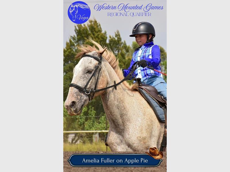 A rider wearing blue on a white horse.