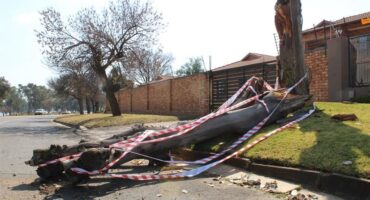Image of a large tree branch laying across the road with caution tape surrounding it