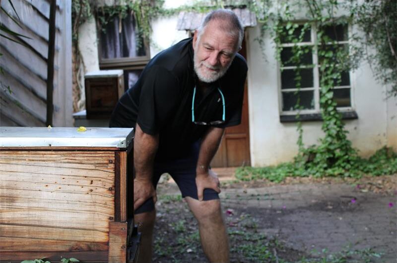 Older man looking at a beehive