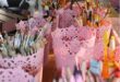 Pink containers holding pencils and paint brushes