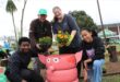 Elderly man stands with three youths at a pig made from tyres holding orange and yellow seedlings