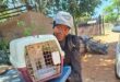 Elderly black woman standing with a cat carrier