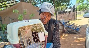 Elderly black woman standing with a cat carrier