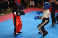 XKT hosts Clash of the Little Titans at Brakpan Indoor Centre.