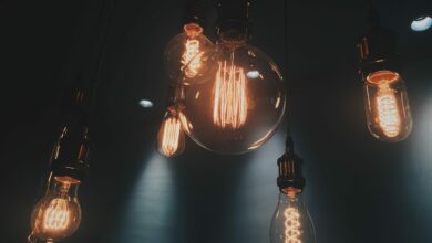 pexels-saya-kimura-401107