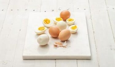 eggs