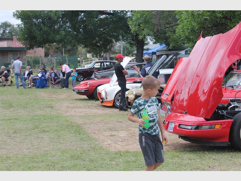 'n Insameling van komberse en dierekos vir die Brakpan DBV word ook gehou en die publiek word aangemoedig om dit te ondersteun.