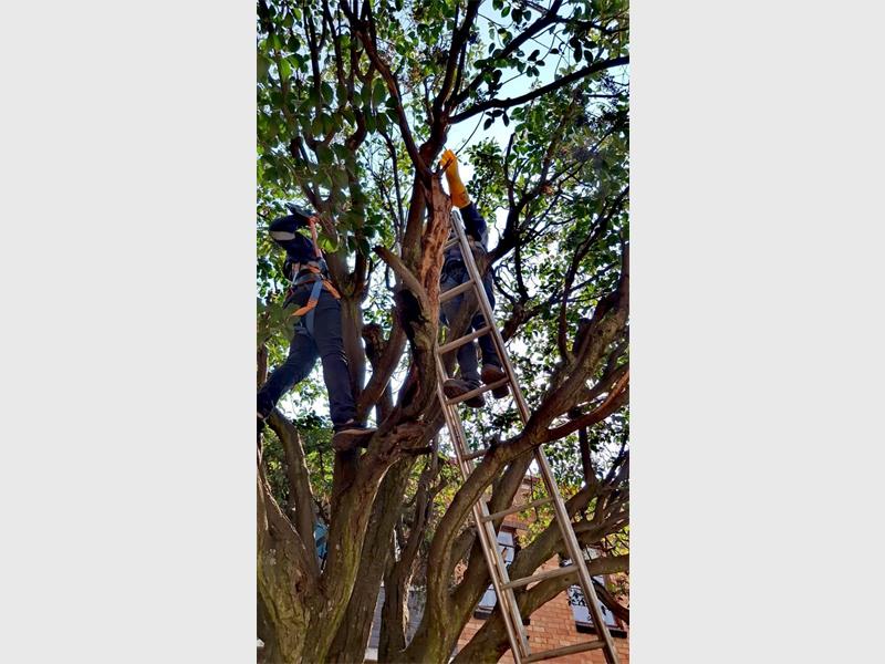 Over R400 000 in fines issued as the Revenue Enhancement team, alongside the Anti-Cable Theft Unit, takes decisive action to enforce compliance and safeguard services.