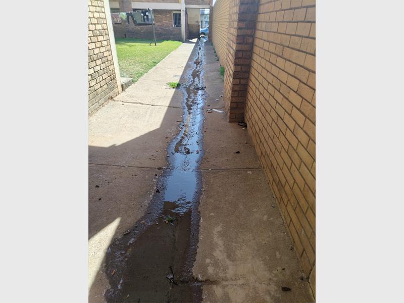 As the leak worsens, residents say they’re told to hire private plumbers, despite living on municipal property.