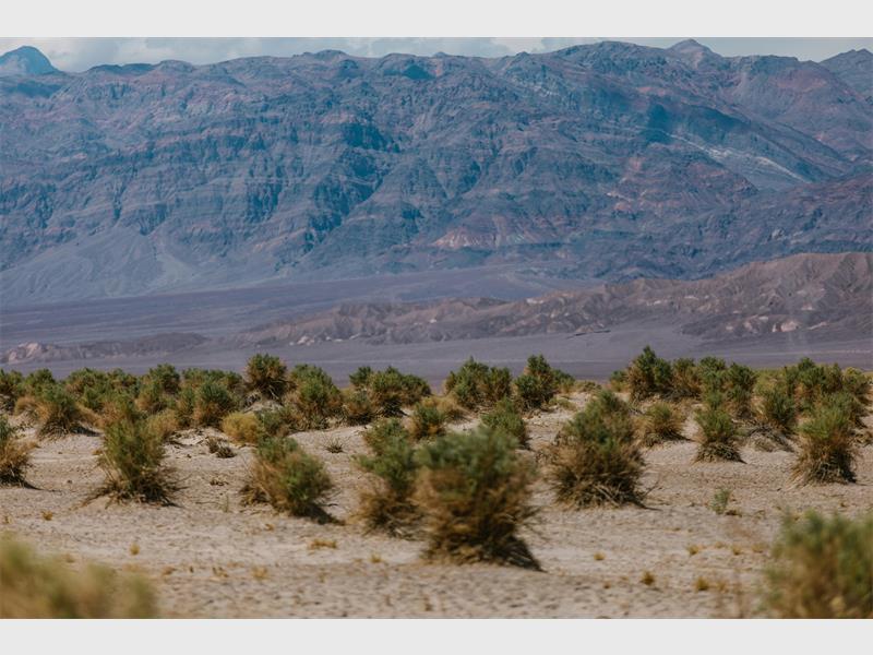 The Department of Water and Sanitation is hoping that keeping the dam above capacity will strengthen drought preparedness.