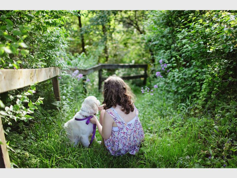 Zoetis South Africa shares advice on keeping your dog safe from rabies.