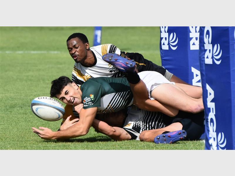 Die Bosman Stadion word op 22 November die tuiste van die Panne 7' Fest met rugbywedstryde, vermaak en genoeg kos en drinkgoed vir almal.