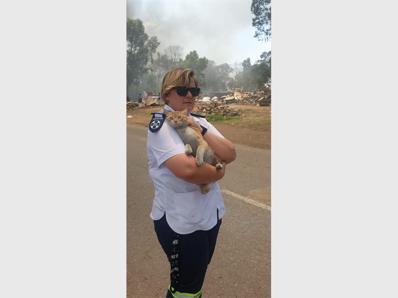 Structures are being torn down in a large-scale operation involving multiple agencies.