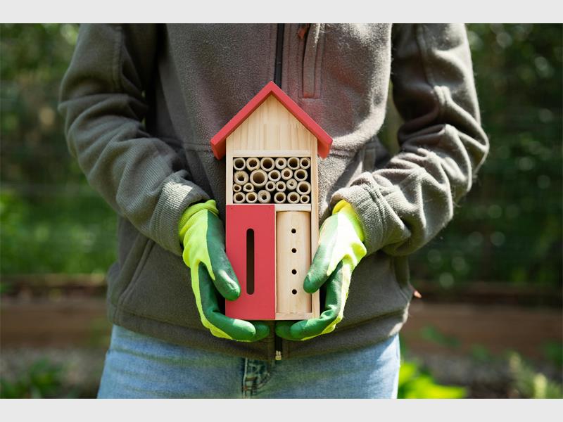 While you may not have time or resources to participate in large scale conservation efforts, there are small steps you can take from your own back yard.