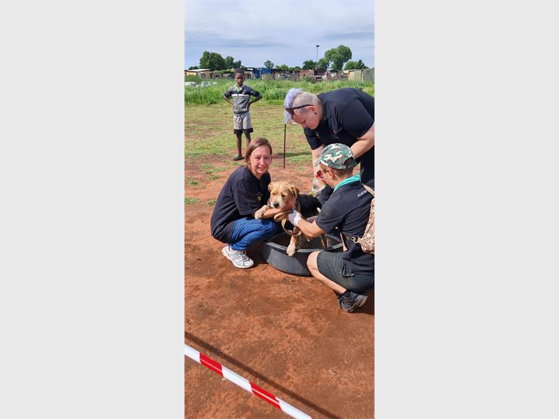 SPOT’s outreach in the Mgongo informal settlement brought tick and flea treatments, pet food and much-needed support for local animals.