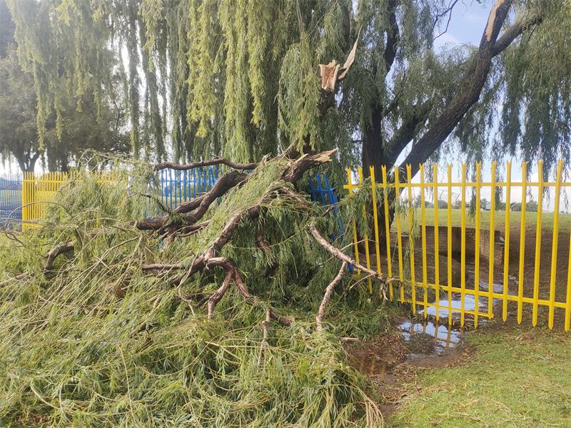 The morning after a severe hailstorm in Brakpan, banks of ice could still be seen across town, along with blown over trees, light poles and damaged properties.