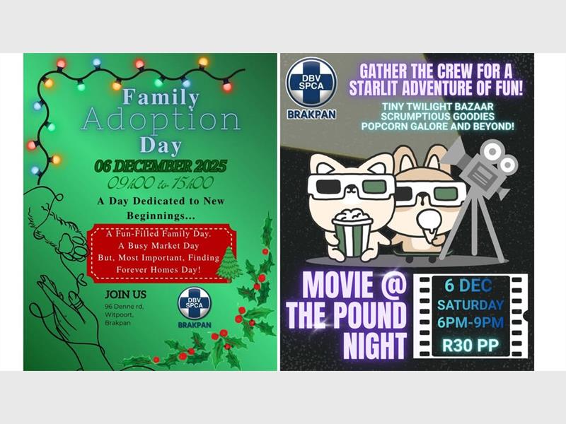 Despite predictions of rain, the Brakpan SPCA's Adoption Day will go ahead, giving families a chance to meet animals hoping for forever homes, enjoy local stalls, and attend the evening Movie @ the Pound if conditions allow.