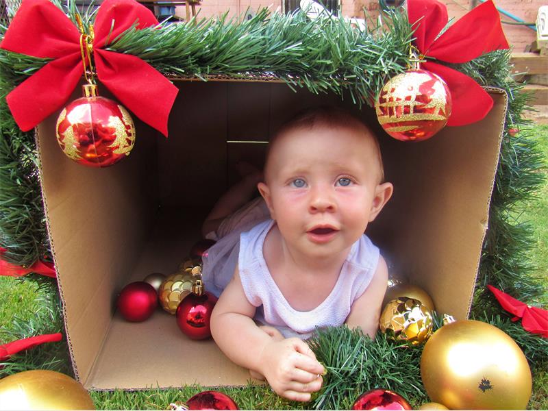 Die Brakpan Herald nooi lesers om hul beste Kersfeesfoto’s in te stuur vir die laaste uitgawe van die jaar. Die wenner staan ’n kans om ’n R1 000 koopbewys van Sherwood Pick n Pay te wen.