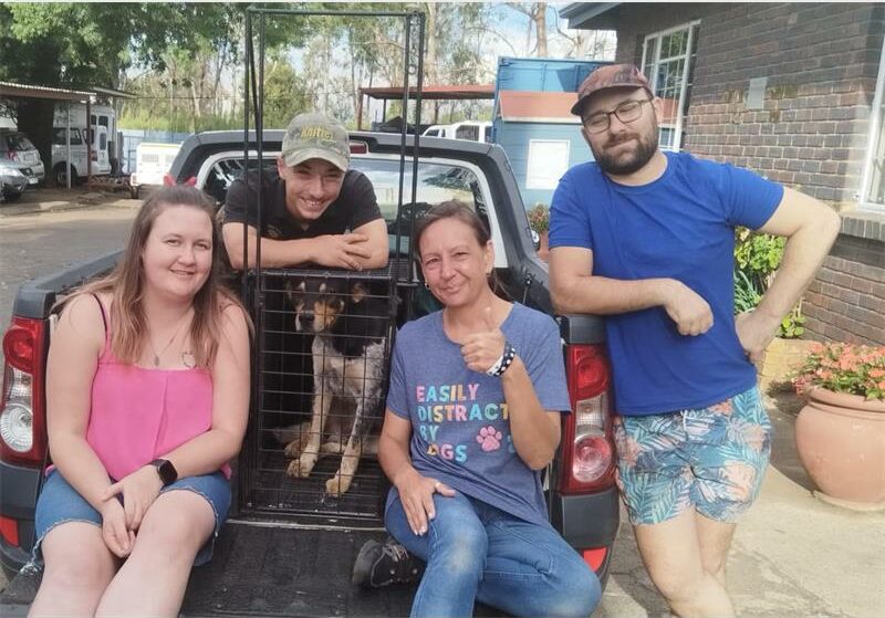After losing their home and surviving harsh conditions, Sasha and Tai have finally found safety. Their emotional reunion after rescue marks a triumph for SPOT volunteers who spent months earning their trust.