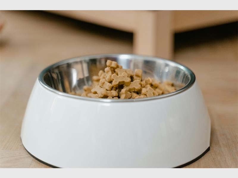 The local society is facing a shortage of tinned dog food, with cat food supplies also running low, prompting an urgent call for community support.