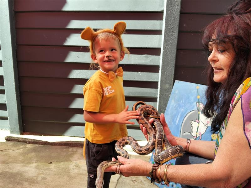 The rescue shelter puts on shows to raise awareness as well as funds, allowing them to save countless neglected exotic pets.