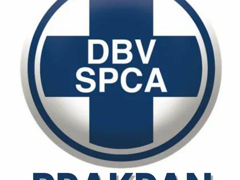 The society is struggling to pay for staff, utilities and veterinary care, despite ongoing community support.
