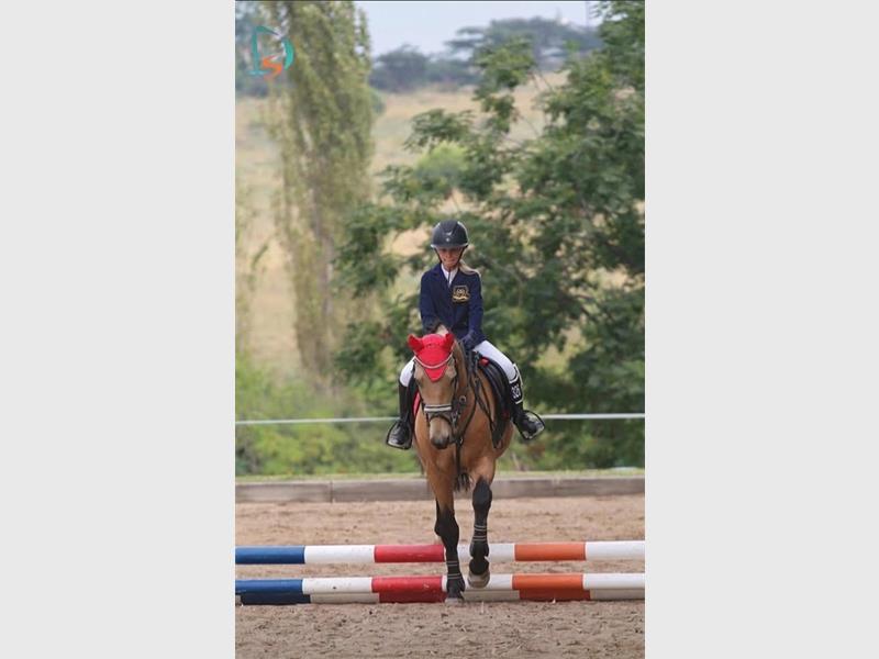 The young horse rider obtained two first, a third and a sixth place recently at a SANESA qualifier.