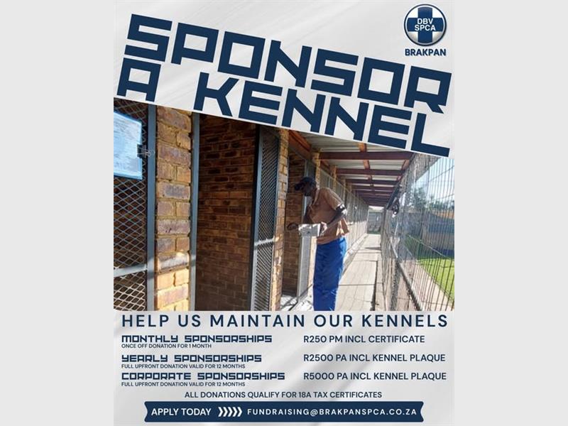 From just R250 a month, you can help provide food, safety, and shelter to animals waiting for forever homes.