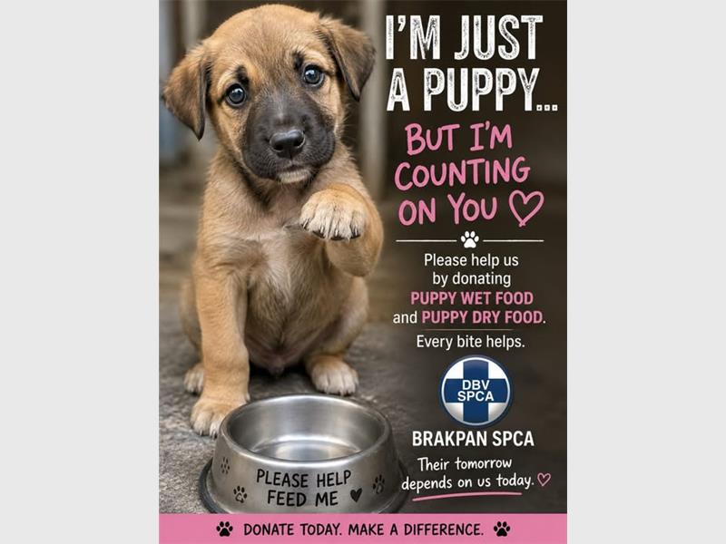 Residents can make a difference by donating puppy food or contributing financially to help care for animals in need.