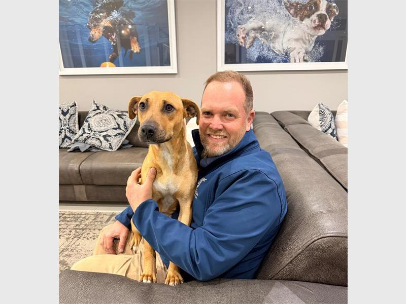 The female dog at the centre of an alleged bestiality case is recovering under veterinary supervision and SPCA care.