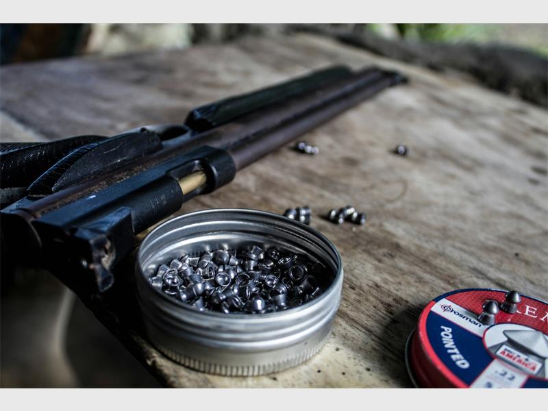 Residents are urged to report illegal airgun use after reports of cats, birds and other animals being shot, injured and killed across Brakpan suburbs.