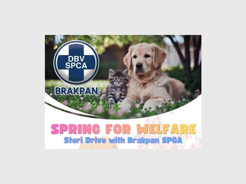 Limited weekly spaces are available for the Brakpan SPCA’s September sterilisation drive, with bookings required in person.