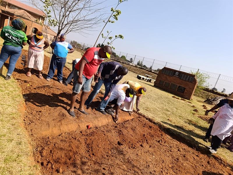 The residents had a colour run before planting trees and seedlings to celebrate the start of spring.