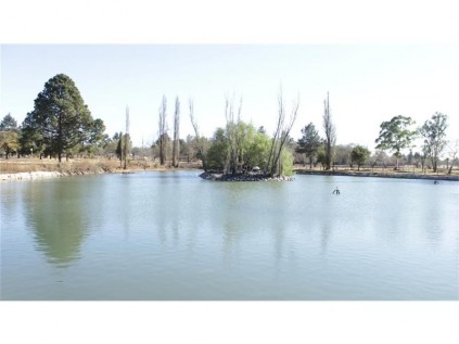 The duck pond on Monday morning, August 12.